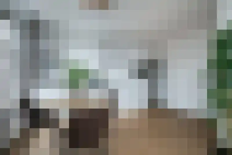 Putsebocht Rotterdam thumbnail 13