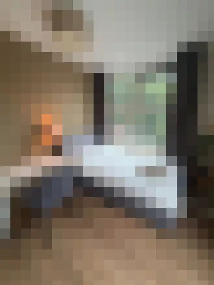 Putsebocht Rotterdam thumbnail 6