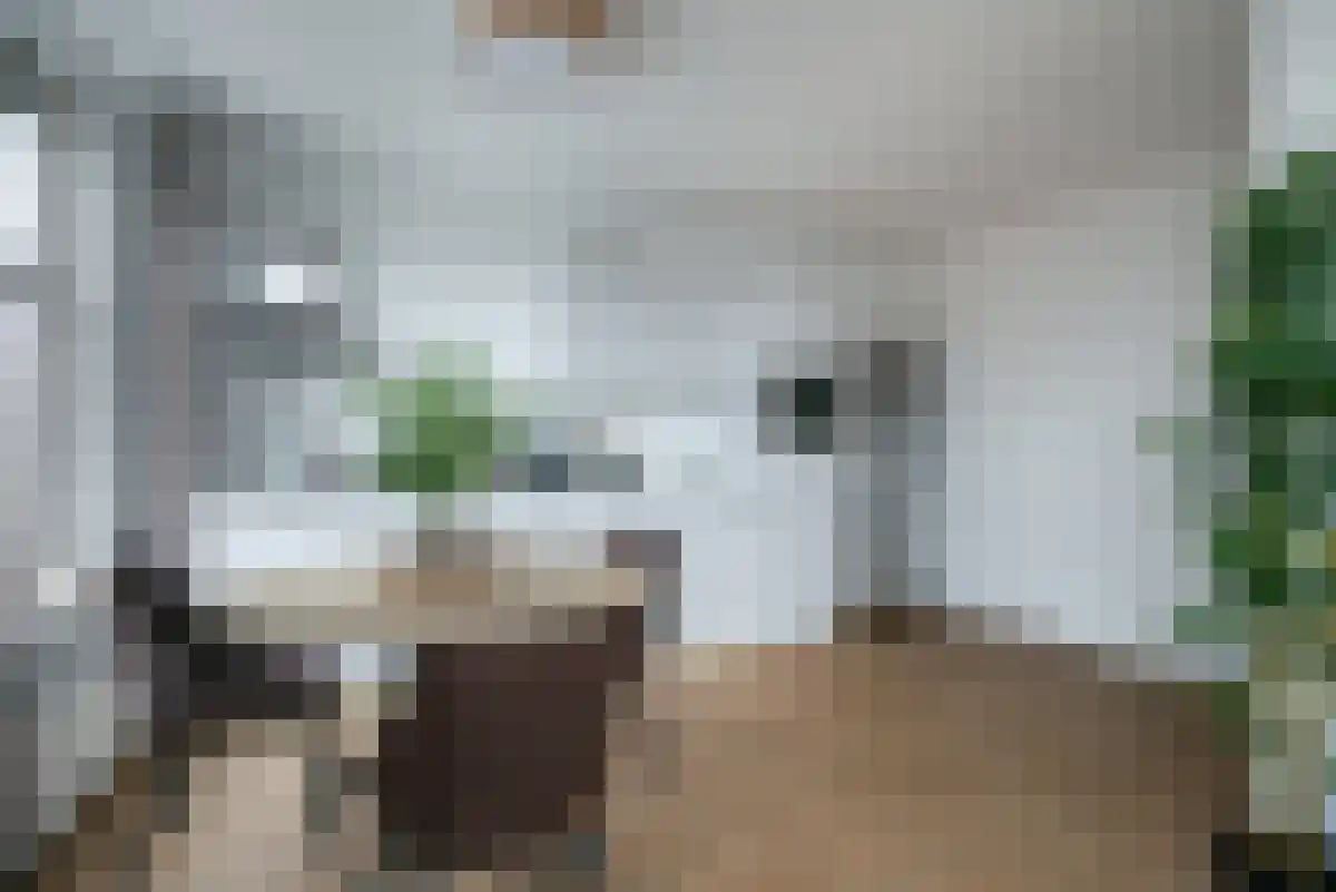 Putsebocht Rotterdam thumbnail 7
