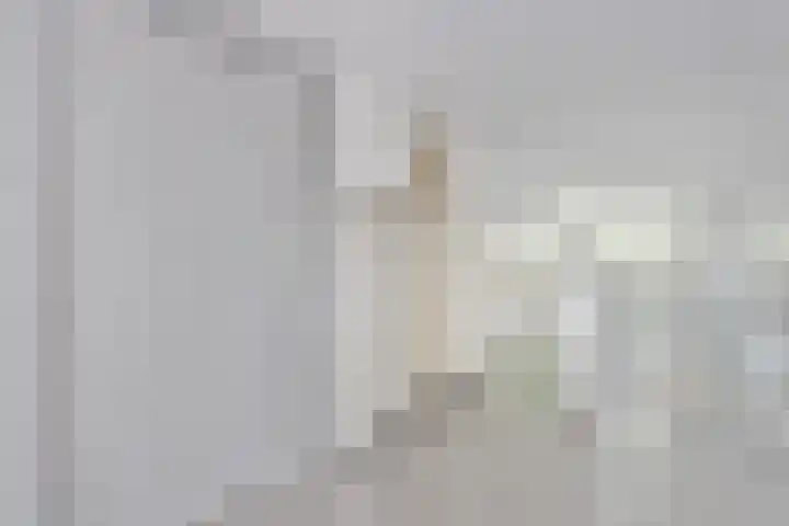 Putselaan 114 C Rotterdam thumbnail 16