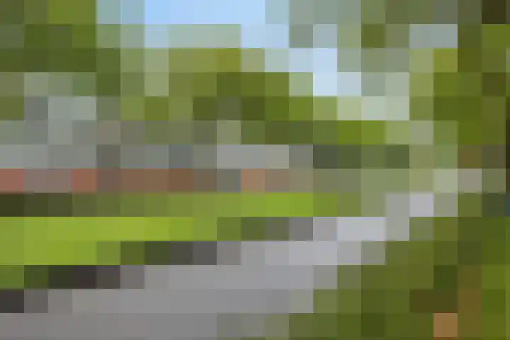 Putselaan 114 C Rotterdam thumbnail 18