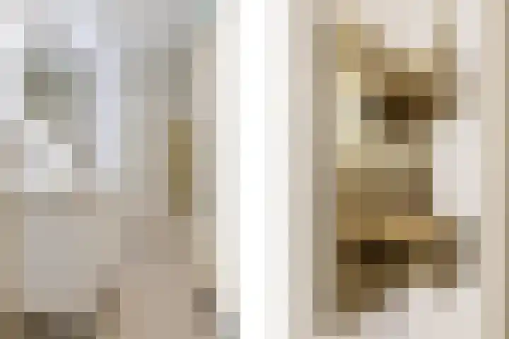 Putselaan 114 C Rotterdam thumbnail 37