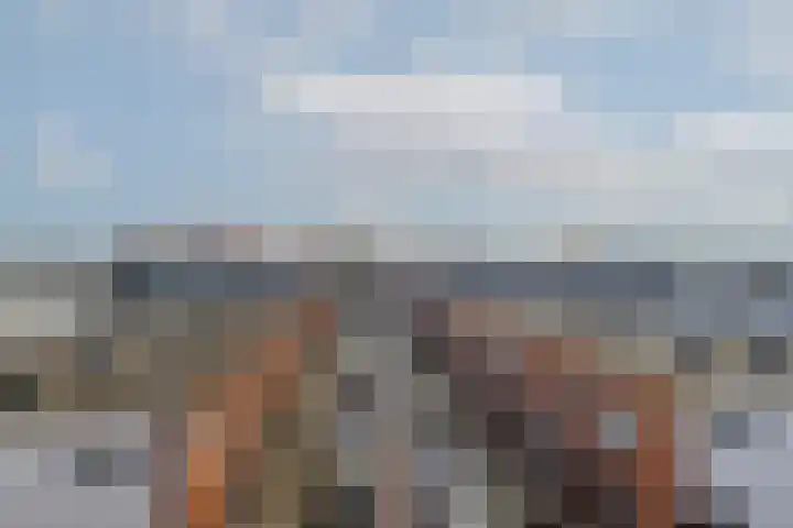 Putselaan 114 C Rotterdam thumbnail 43