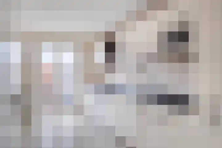 Putselaan 114 C Rotterdam thumbnail 5