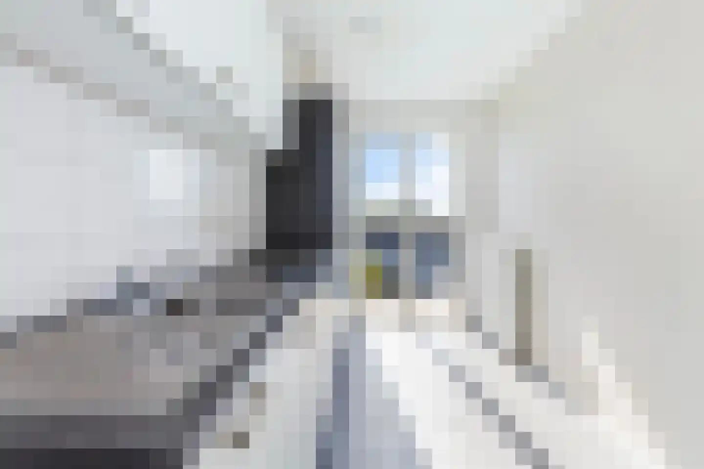 Putselaan 118 A Rotterdam thumbnail 12