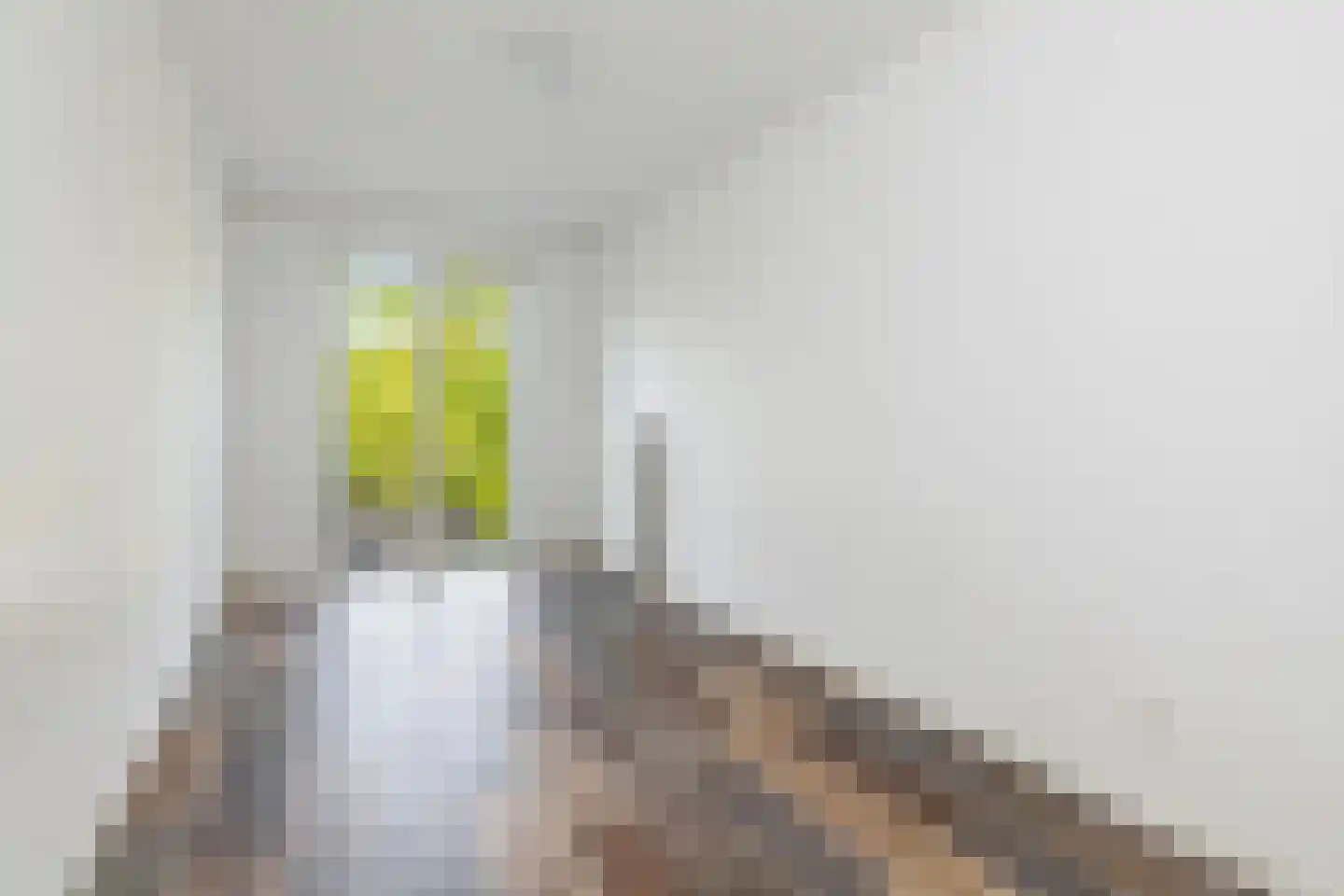 Putselaan 118 A Rotterdam thumbnail 19