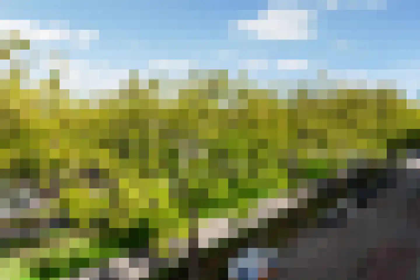 Putselaan 118 A Rotterdam thumbnail 26
