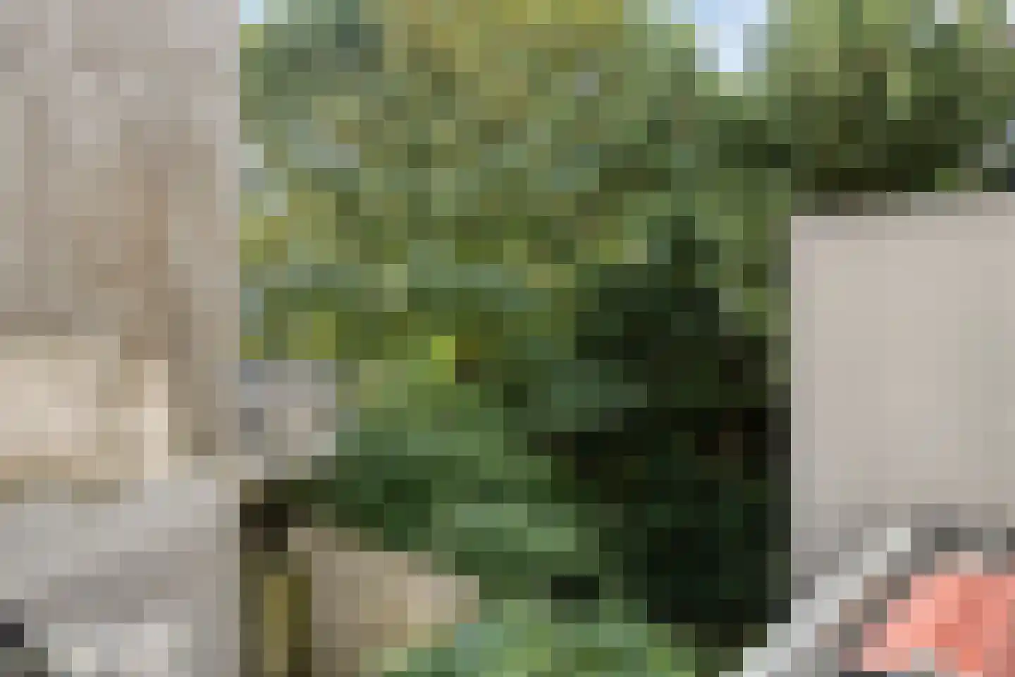 Putselaan 212 B Rotterdam thumbnail 17