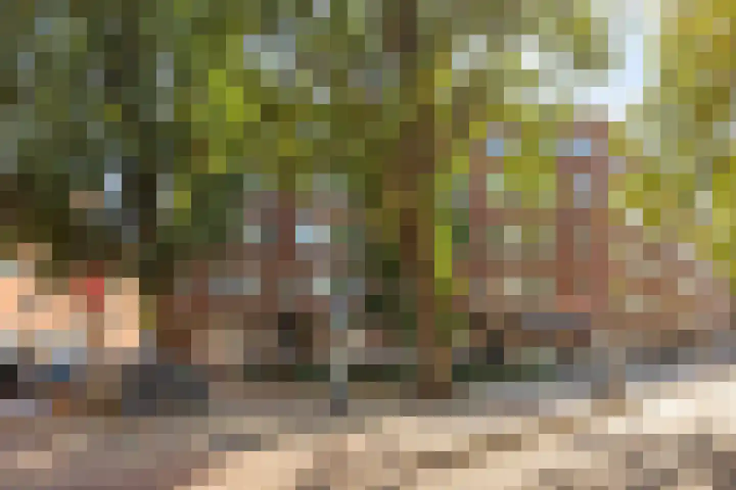 Putselaan 212 B Rotterdam thumbnail 18