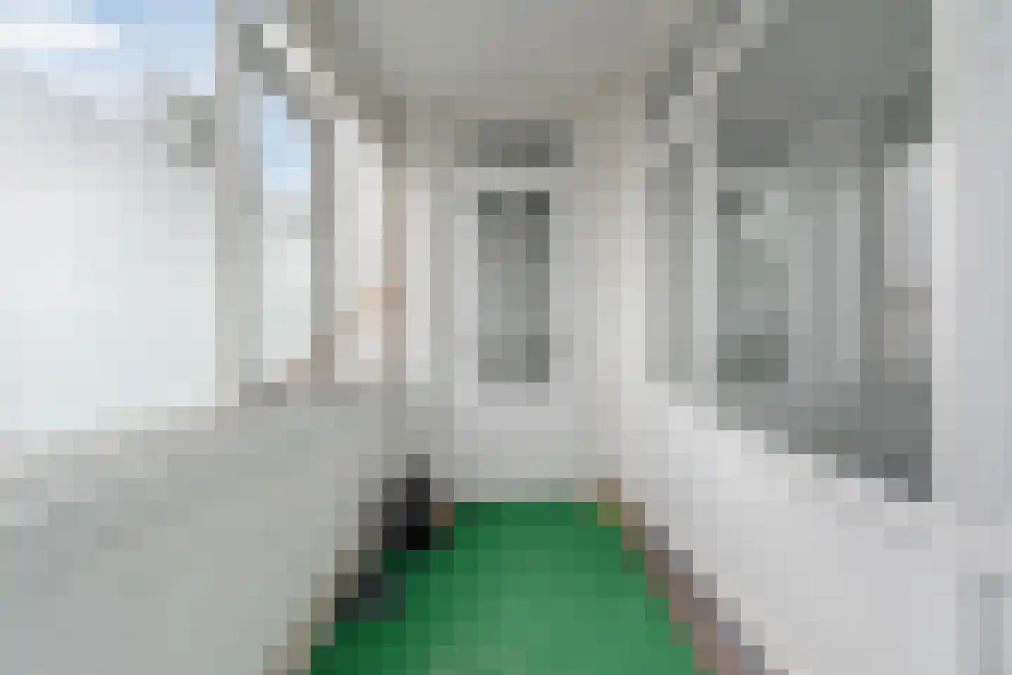 Putselaan 226 C 02 Rotterdam thumbnail 18