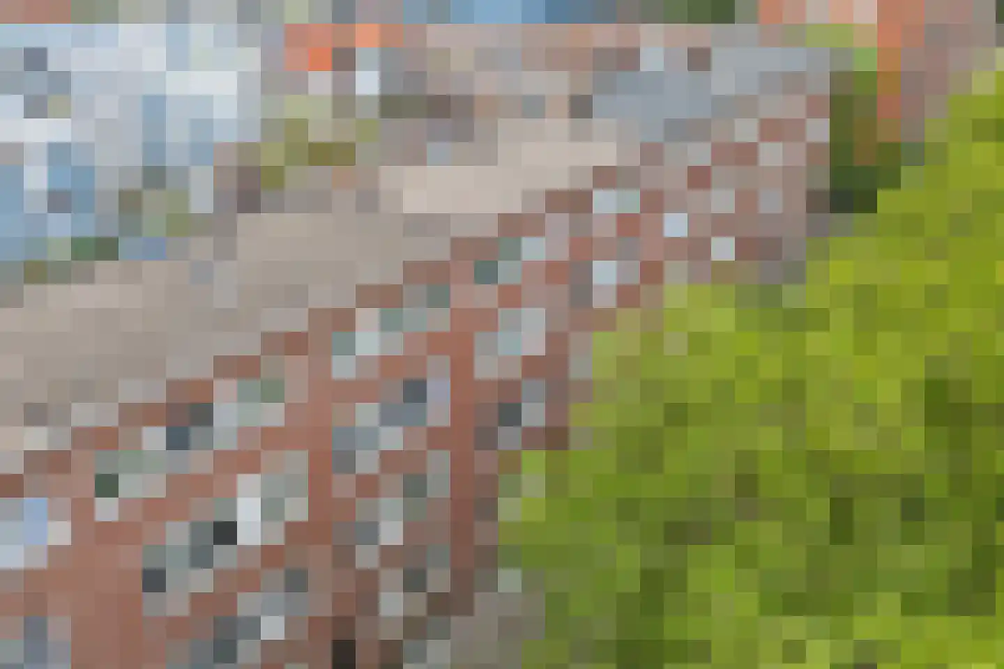 Putselaan 226 C 03 Rotterdam thumbnail 28