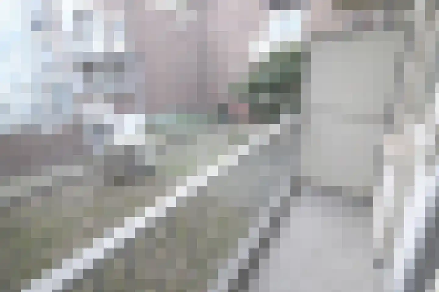 Putselaan 230 A Rotterdam thumbnail 8