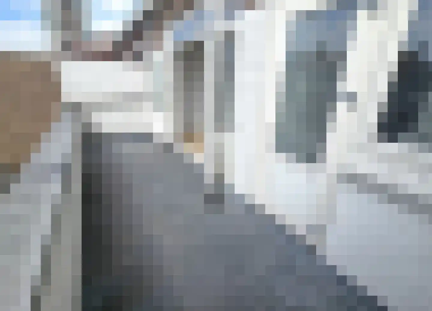 Putselaan 232 A 02 Rotterdam thumbnail 14