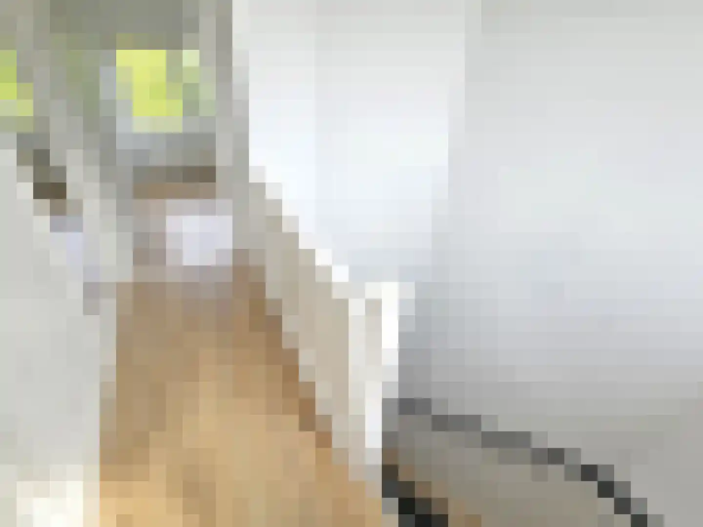 Putselaan 232 A 02 Rotterdam thumbnail 22