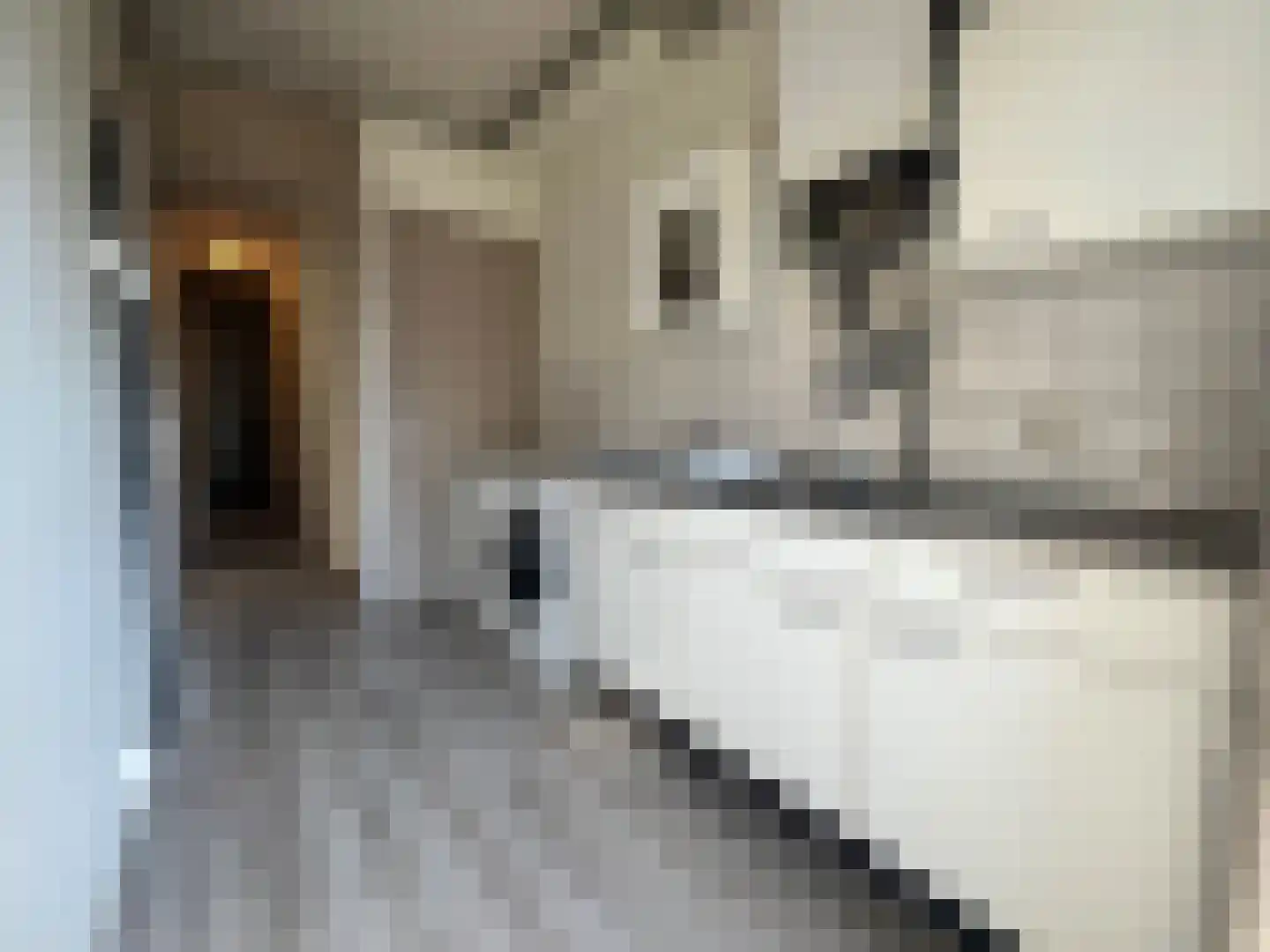 Putselaan 232 A 03 Rotterdam thumbnail 11