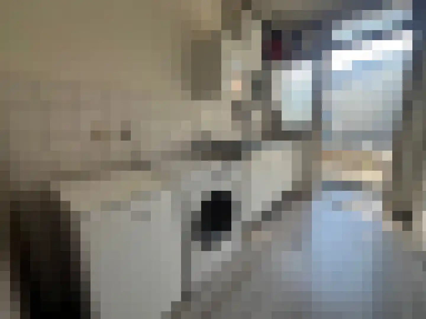 Putselaan 232 B Rotterdam thumbnail 10