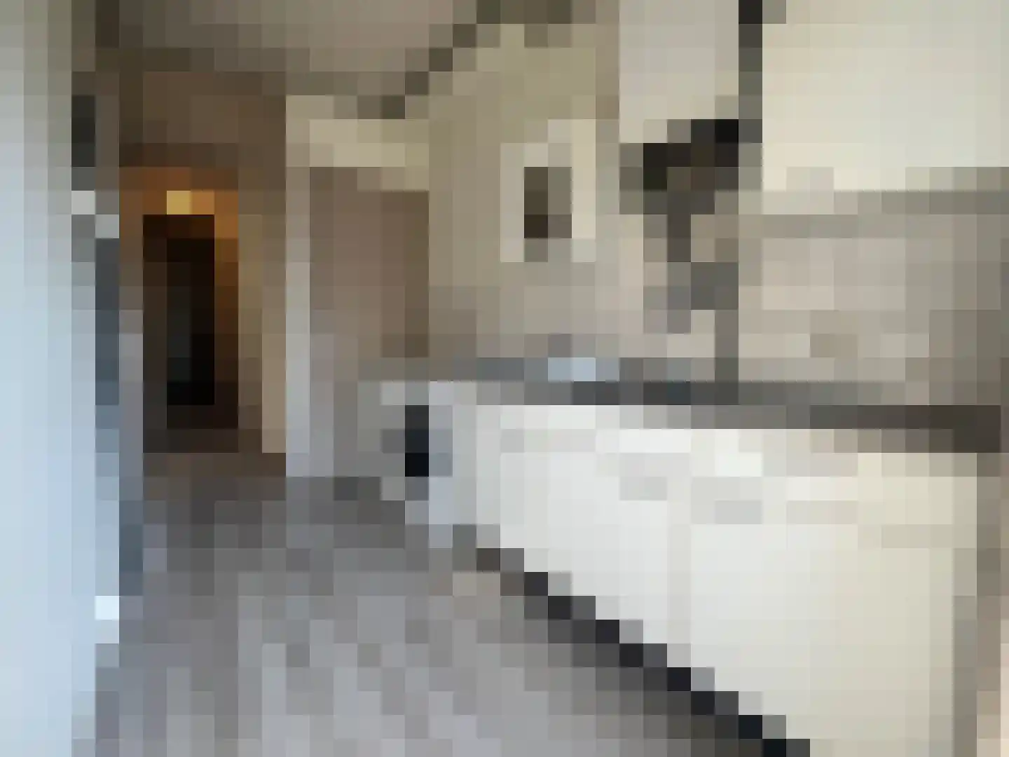Putselaan 232 B Rotterdam thumbnail 11