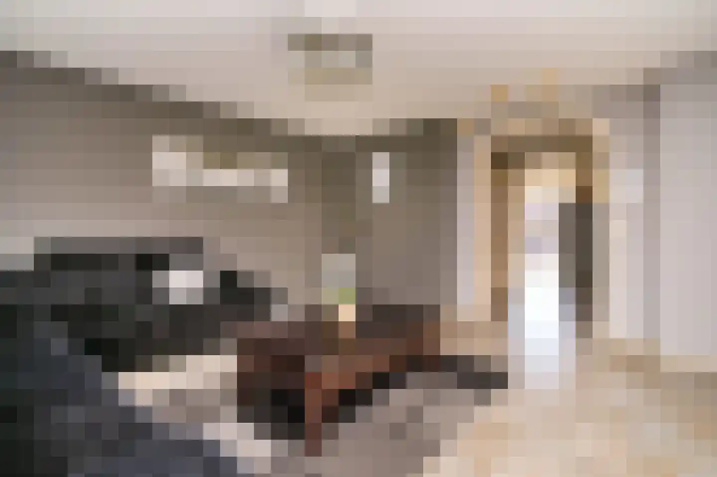 Putselaan 44 B Rotterdam thumbnail 7