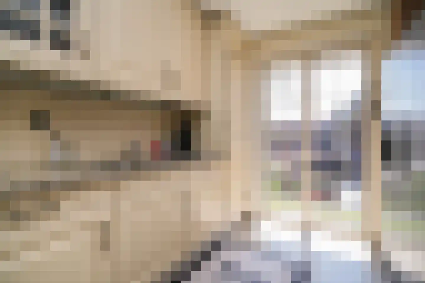 Putselaan 44 B Rotterdam thumbnail 9