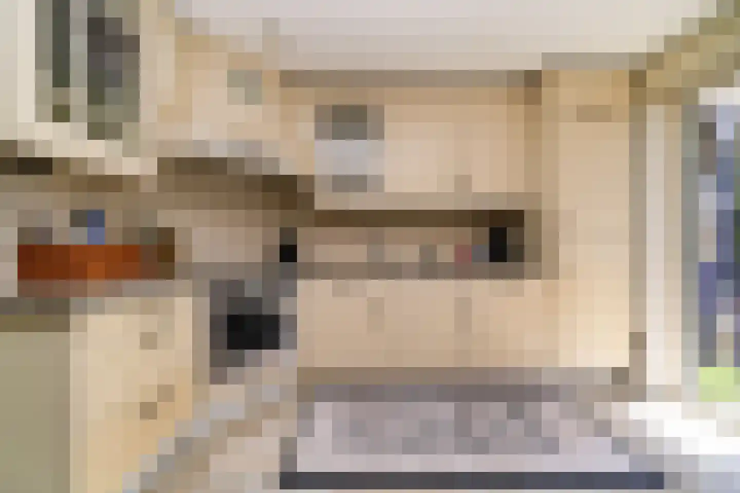 Putselaan 44 G Rotterdam thumbnail 8