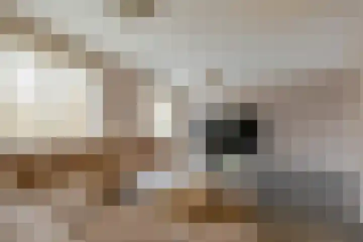 Putselaan 50 H Rotterdam thumbnail 12