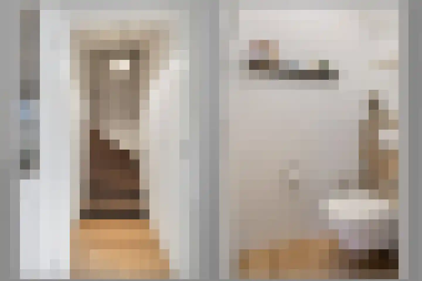 Putsteeg 25 Schijndel thumbnail 15