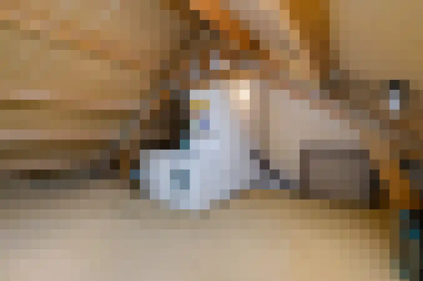 Putsteeg 25 Schijndel thumbnail 27