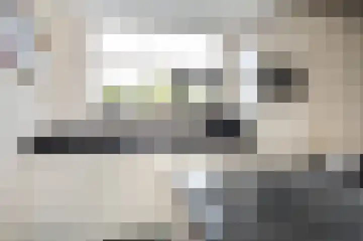 Putsteeg 47 Schijndel thumbnail 10