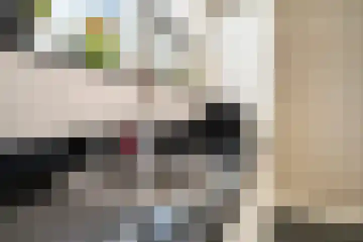 Putsteeg 47 Schijndel thumbnail 11