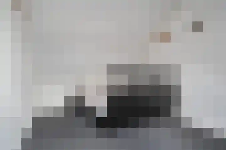 Putsteeg 47 Schijndel thumbnail 24