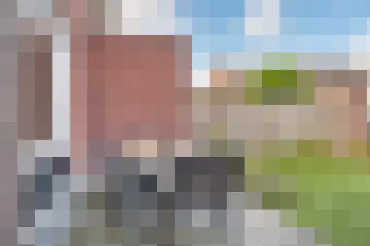Putsteeg 47 Schijndel thumbnail 26