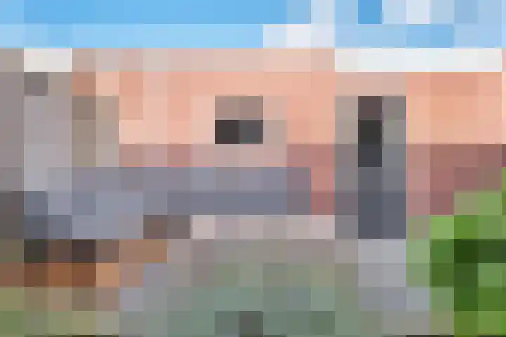 Putsteeg 47 Schijndel thumbnail 27