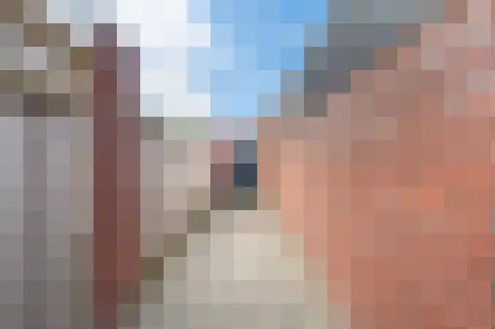 Putsteeg 47 Schijndel thumbnail 30