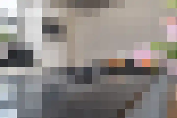 Putsteeg 47 Schijndel thumbnail 9