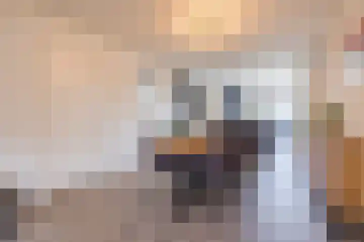 Putstraat 113 Waalwijk thumbnail 5