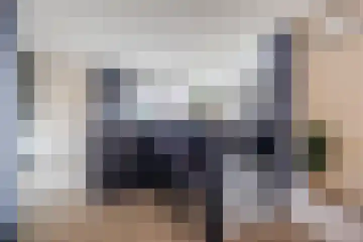 Putstraat 113 Waalwijk thumbnail 9