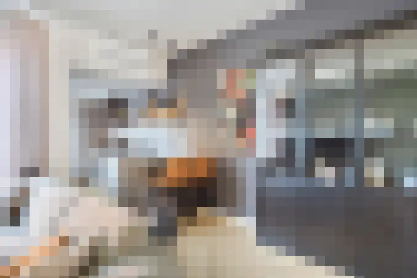 Putstraat 122 Waalwijk thumbnail 10