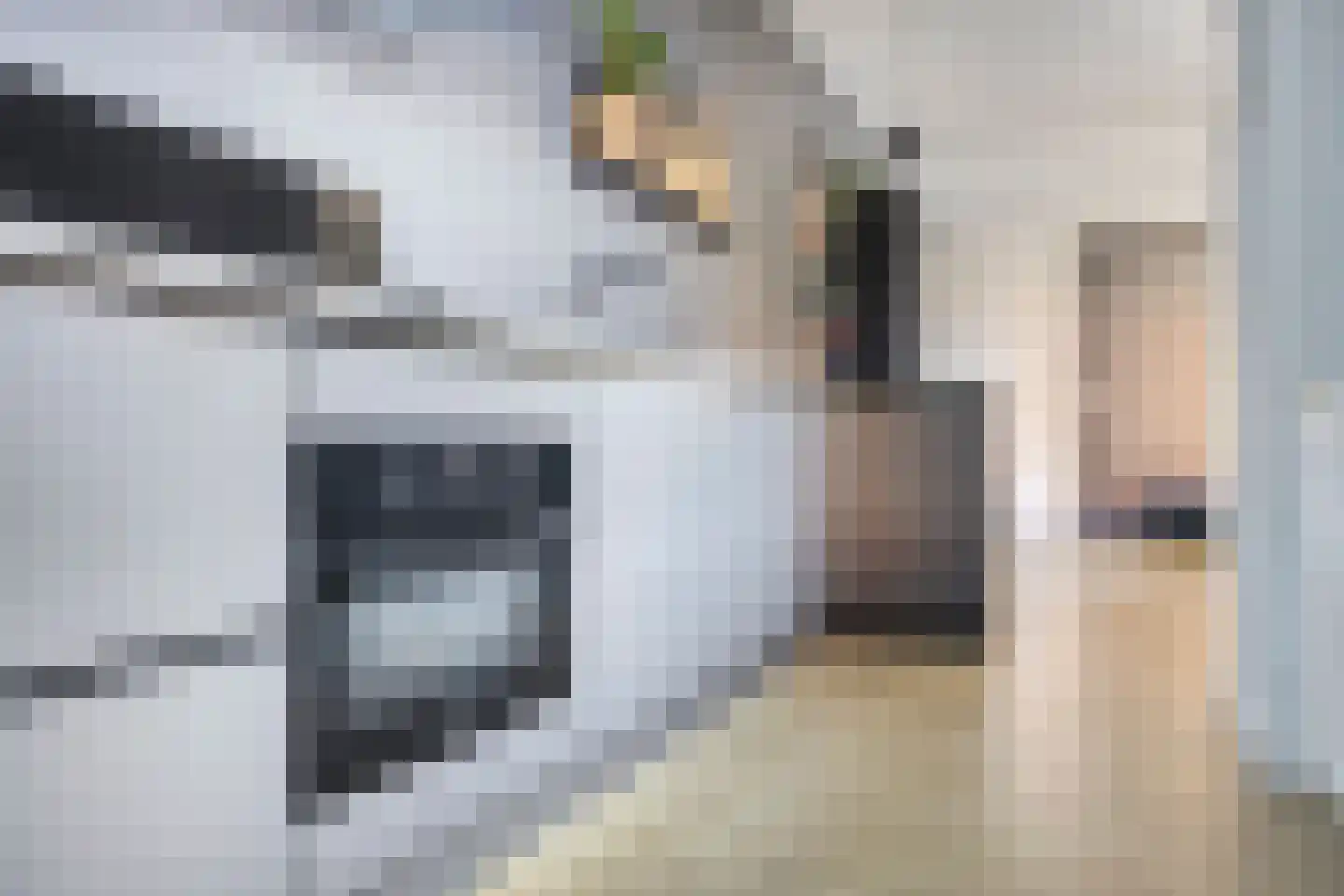 Putstraat 122 Waalwijk thumbnail 13
