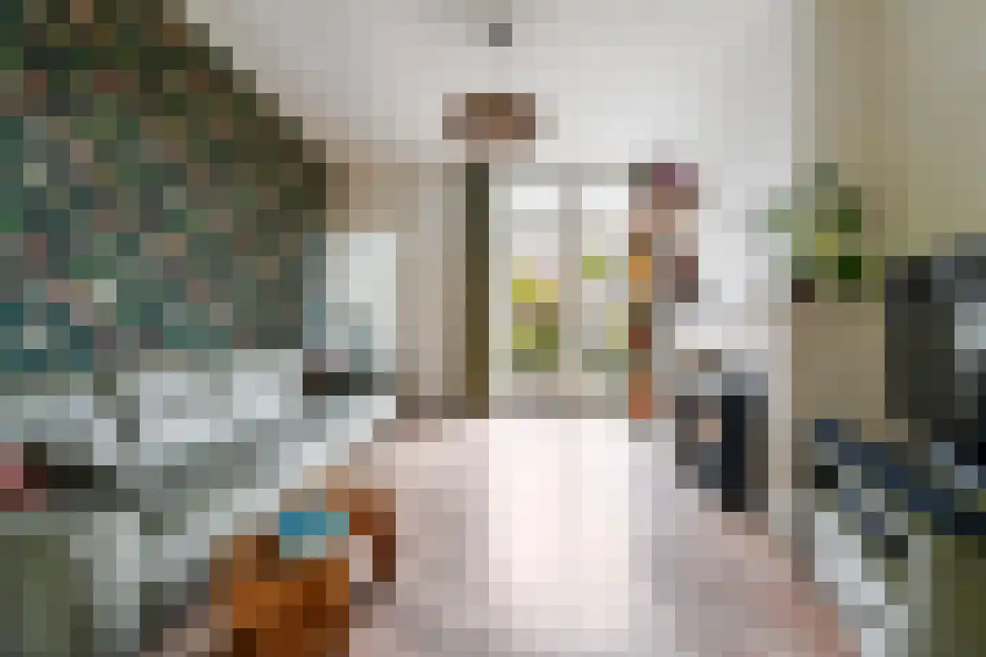 Putstraat 123 Waalwijk thumbnail 11
