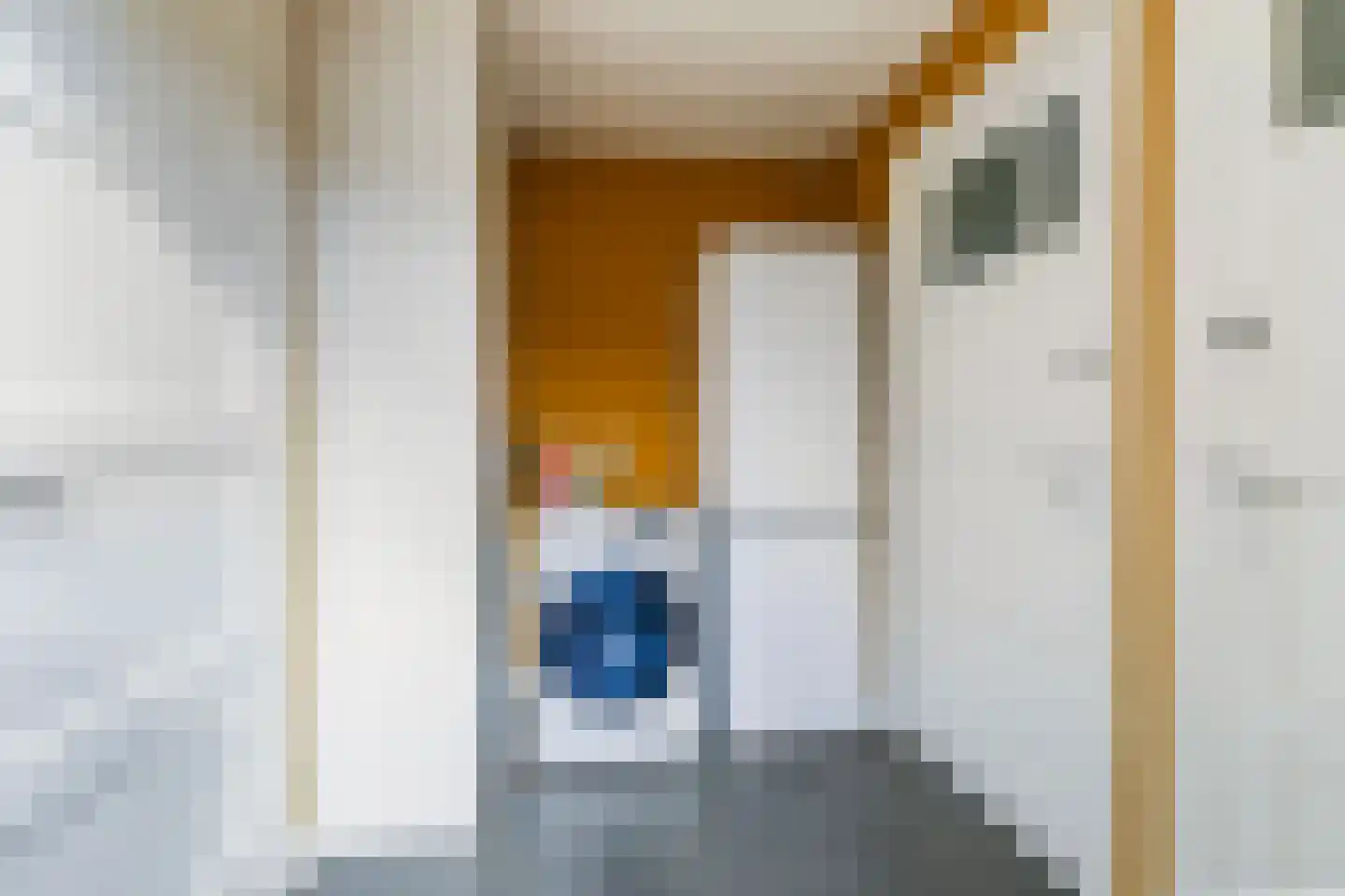 Putstraat 123 Waalwijk thumbnail 15