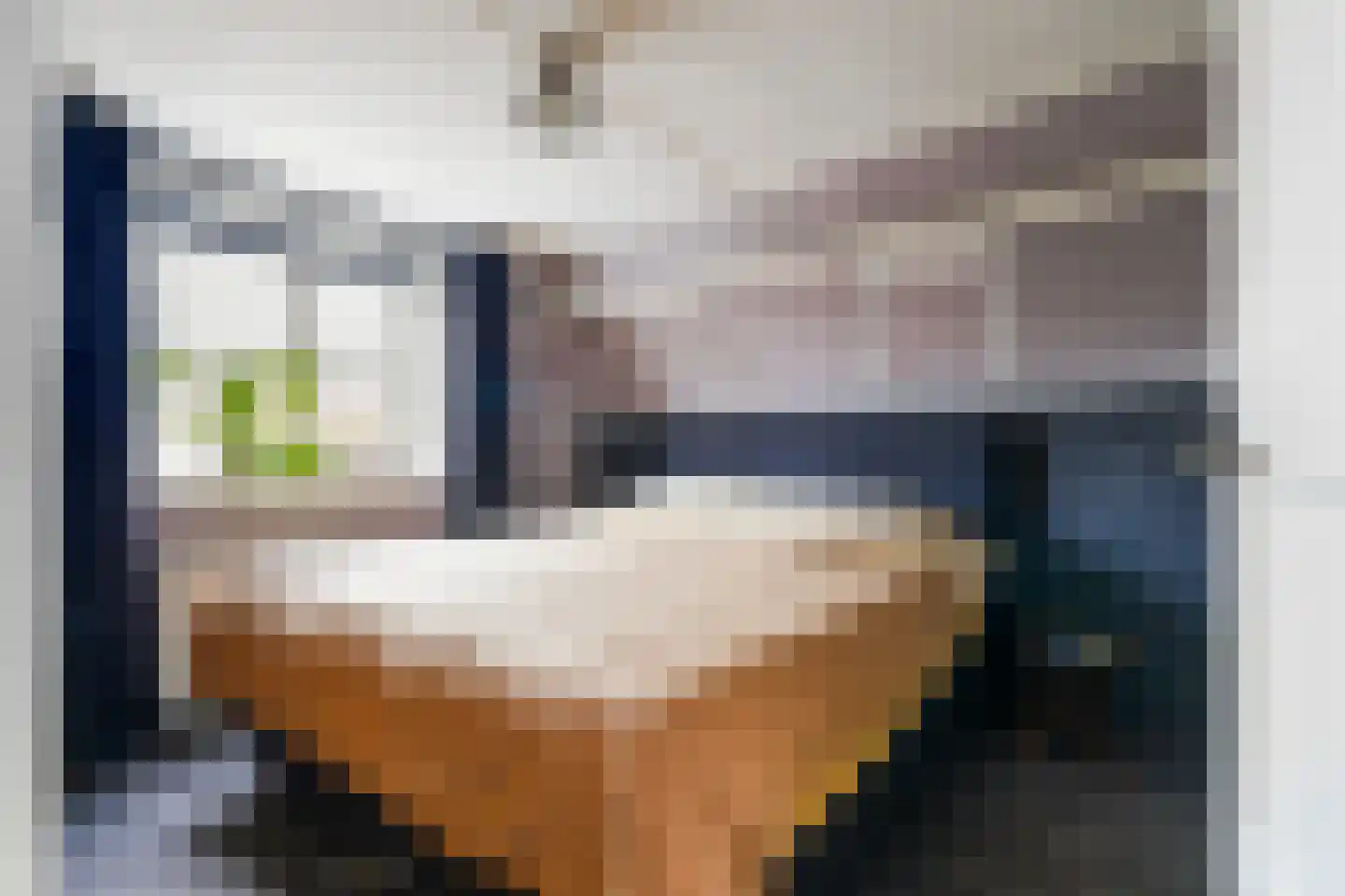 Putstraat 123 Waalwijk thumbnail 21