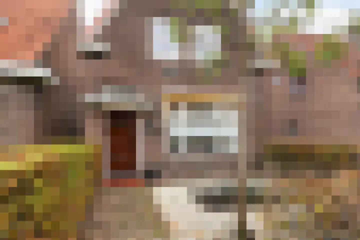 Putstraat 123 Waalwijk thumbnail 5