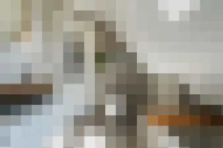 Putstraat 124 Waalwijk thumbnail 22