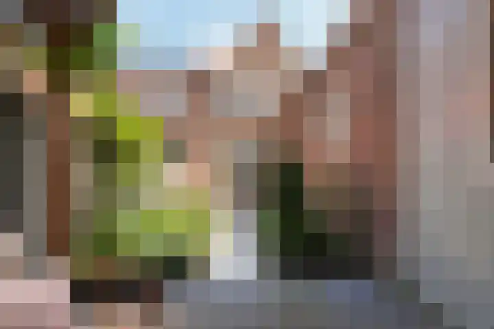 Putstraat 124 Waalwijk thumbnail 25