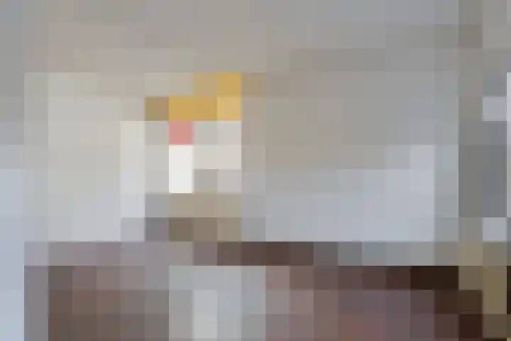 Putstraat 126 a Waalwijk thumbnail 7