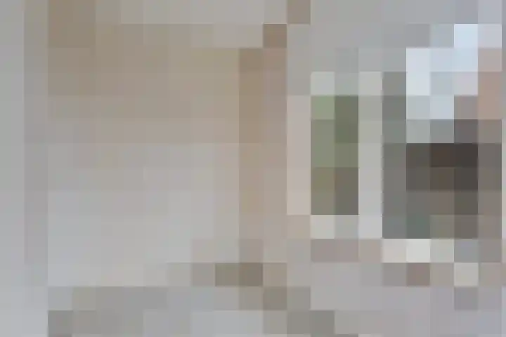 Putstraat 126 Waalwijk thumbnail 11