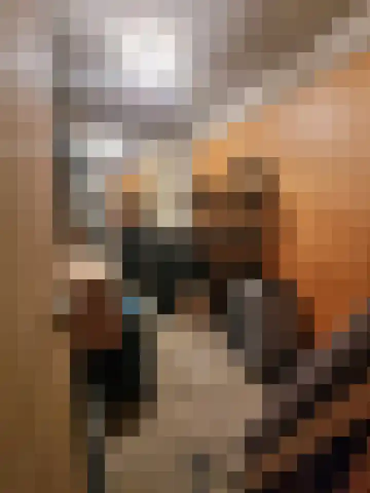 Putstraat 20 Eygelshoven thumbnail 17