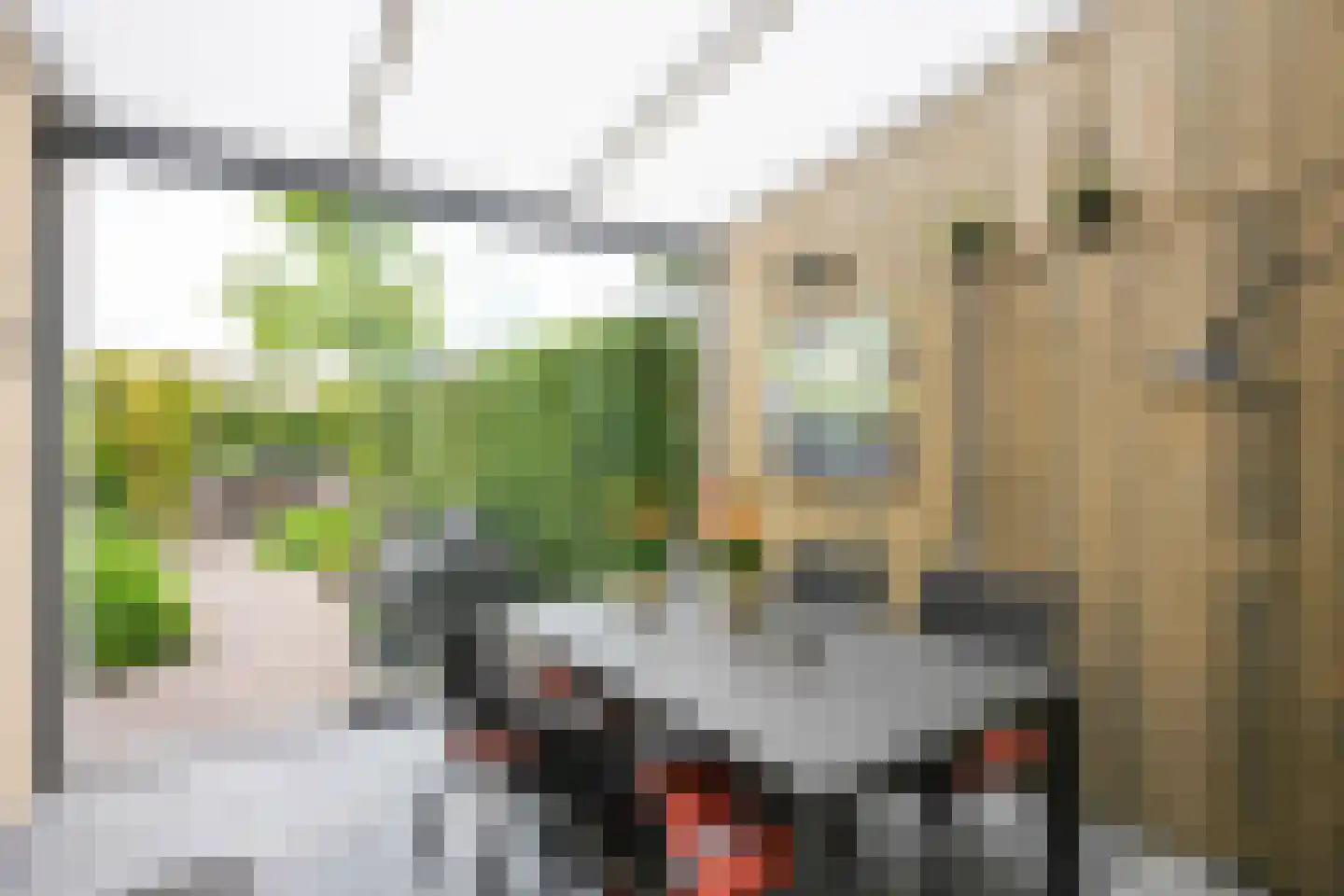 Putstraat 21 Eijsden thumbnail 21