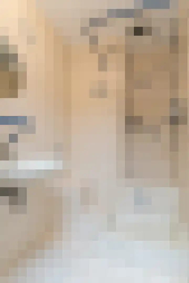 Putstraat 26 Eckelrade thumbnail 18