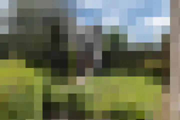 Putstraat 26 Eckelrade thumbnail 30